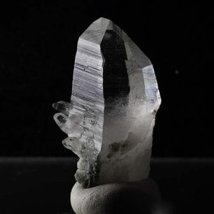 画像7: ヒマラヤン・タビー