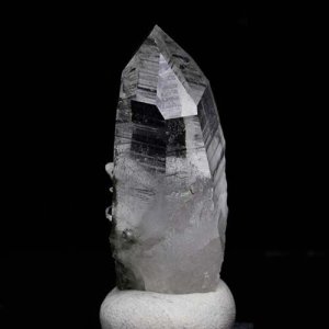 画像9: ヒマラヤン・タビー