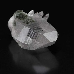 画像10: ヒマラヤン・タビー