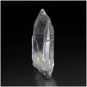 画像4: タントリックツイン