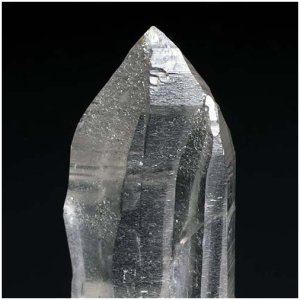 画像13: タントリックツイン