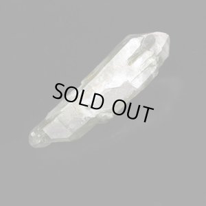 画像2: マルチターミネーテッド