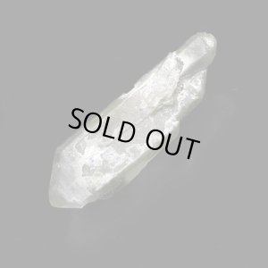 画像3: マルチターミネーテッド