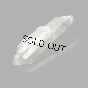 画像4: マルチターミネーテッド