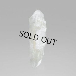 画像5: マルチターミネーテッド