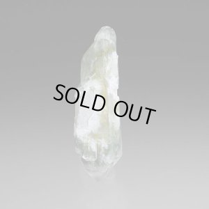 画像6: マルチターミネーテッド