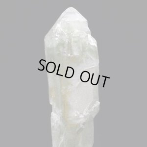 画像7: マルチターミネーテッド