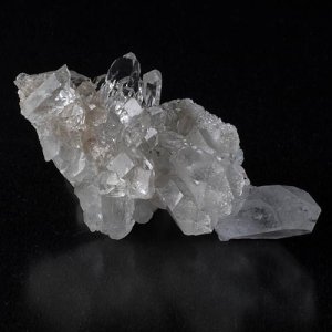 画像2: マニカラン・ミニクラスター