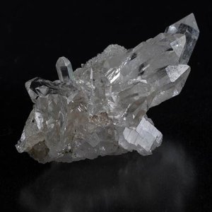 画像3: マニカラン・ミニクラスター