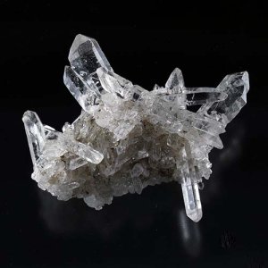 画像2: マニカラン・ミニクラスター