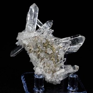 画像10: マニカラン・ミニクラスター